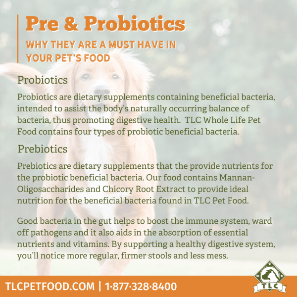 Pre-Probiotics-Dog